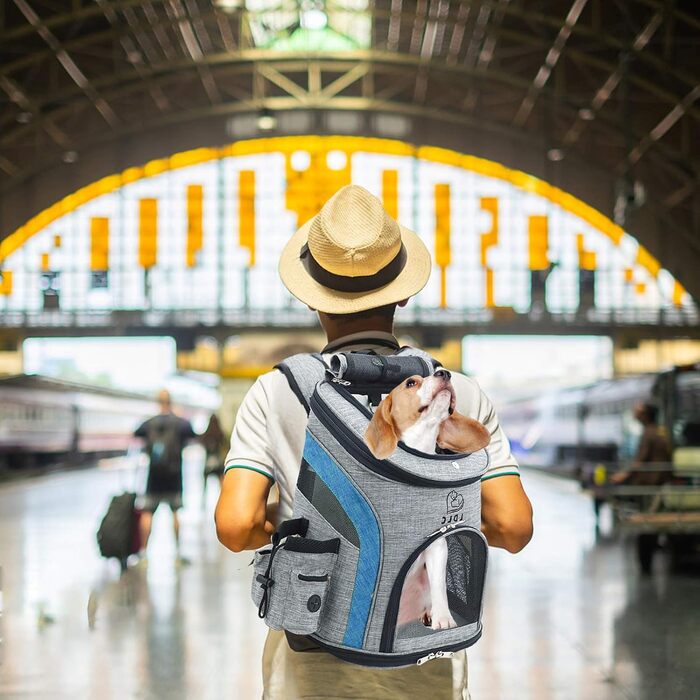 PETCUTE Рюкзак для собак та котів, дихаючий, з внутрішнім ремінком безпеки, регульований, з бічними кишенями, для подорожей, прогулянок, велопоїздок (Блакитний)