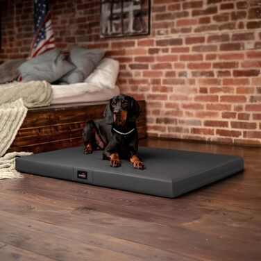 Ортопедичний лежак для собак Tierlando Alice Easy CLEAN з екошкіри, 100x80 см, сірий (графіт)