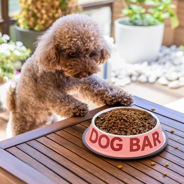 Подвійний набір мисок для собак Fisura Dog Bar з нержавіючої сталі, 500 мл + 1000 мл, рожевий та червоний, антиковзні