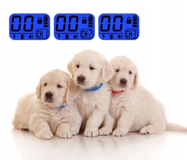 Електричний нашийник для дресирування собак з пультом дистанційного керування та великим радіусом дії