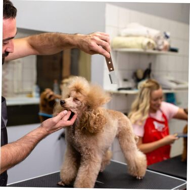 Набір для догляду за шерстю котів: щітка-вичесальник та щітка для вичісування. Ергономічна ручка з дерева для ефективного видалення шерсті та догляду за довгошерстими котами