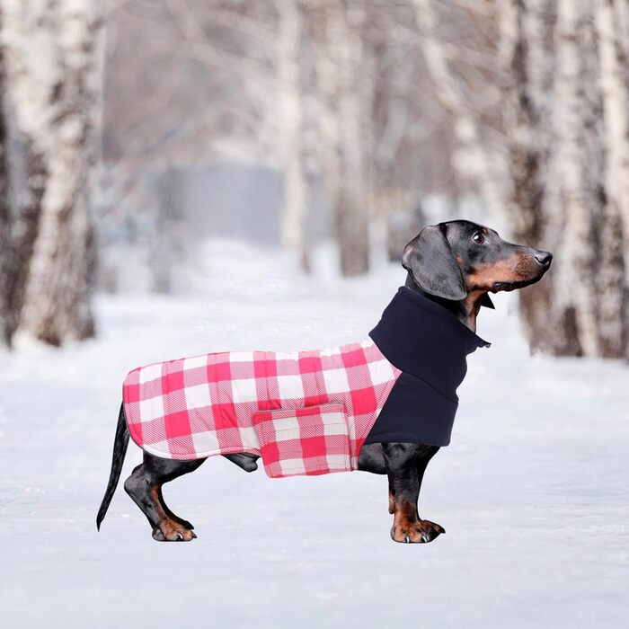 Зимовий нашийник для собак Dachshund від Geyecete, водонепроникний, з отвором для повідка, теплий, для маленьких собак, рожевий в клітинку (XS)