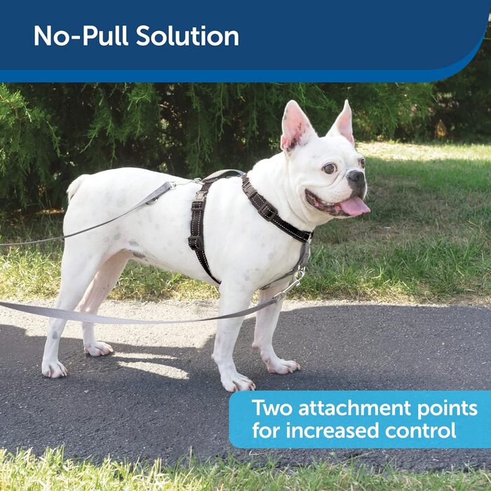 PetSafe 3-в-1 шлея для собак, з двоточковим повідцем, проти ривків, розмір S, чорна, регульована