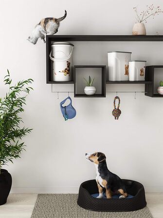 Контейнер для корму Curver для собак - 2 л