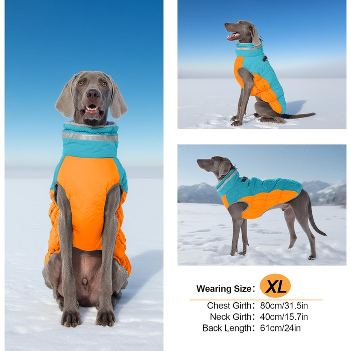 Зимова куртка для собак, тепла, водонепроникна, вітронепроникна, з флісу, для прогулянок та походів (Small, Синій та Оранжевий)