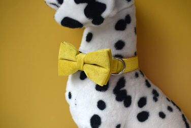 Іменний нашийник для собак з металевою застібкою, індивідуальні адресники для тварин з гравіюванням імені, номера телефону та адреси (Стиль B)