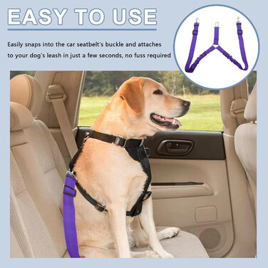 Ремінь безпеки для собак у машину, подвійний, еластичний, регульований, з амортизатором та карабіном для маленьких та середніх собак (фіолетовий)
