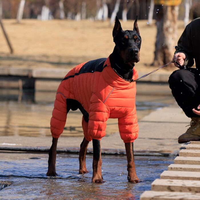 Водонепроникний теплий одяг для собак: куртка, жилет, тепла сорочка для собак. Підходить для малих, середніх та великих собак. Оранжевий колір, розмір S
