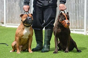 Нашийник-маска для собак Bestia Maximus з натуральної шкіри, чорний, XL – для Американського Бульдога, Німецької вівчарки, Добермана