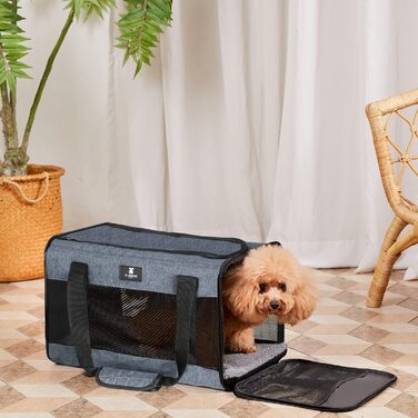 Переносний переноска для тварин X-ZONE: для собак та котів середнього та малого розміру, чорний та блакитний кольори