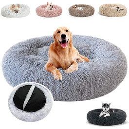 колір: синєгрань