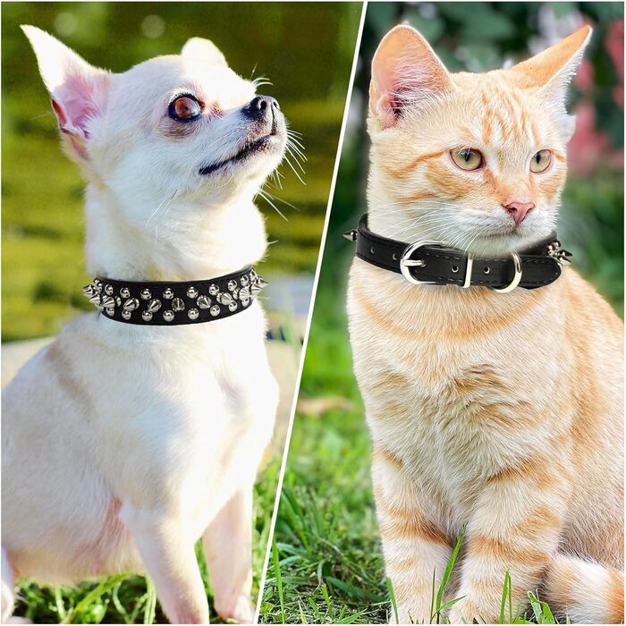 DOGGYZSTYLE нашийник для собак із шкіри з шипами, для котів, цуценят, малих і середніх тварин, чорний, розмір L