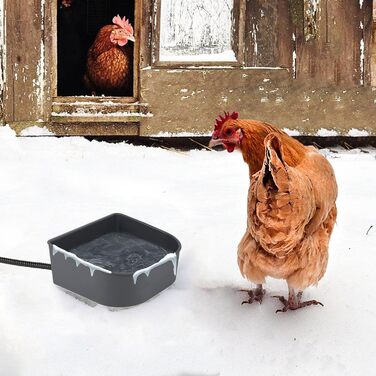 Підігрівальна пляшка для води для собак у зимовий період, сіра | NAMSAN