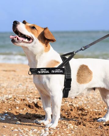 Шлейка для собак Eeyfarog No Pull без ривка, для малих та середніх порід, чорна, регульована, світловідбиваюча (M, обхват грудей 53–70 см)