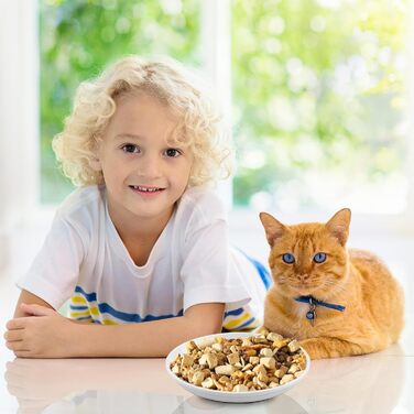 Набори мисок для котів Vexillic (6 шт.) з кераміки, з антиковзким силіконовим дном. Підходять для котів, кошенят та собак.