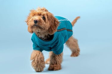 Теплий зимовий костюм для собак BoxDog з поларфлісу, блакитний | для маленьких собак, тепла піджака для собак