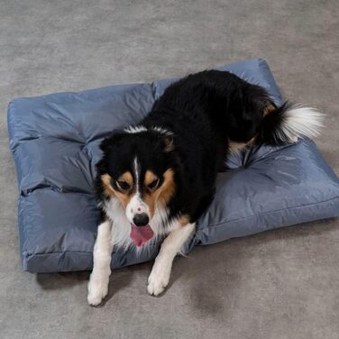 Крісло-ліжко для собак Bananair - м'яке та зручне, з водовідштовхувальної тканини, легко миється - XXL лежанка/корзина для собак, різні розміри/кольори (110 x 85 x 10 см, сірий)