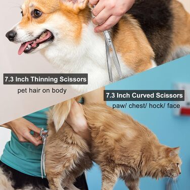 Професійний набір ножиць для грумінгу собак CIICII 10-в-1 з безпечними закругленими кінцями. Ідеально підходить для собак, котів та інших домашніх тварин. Срібний колір.