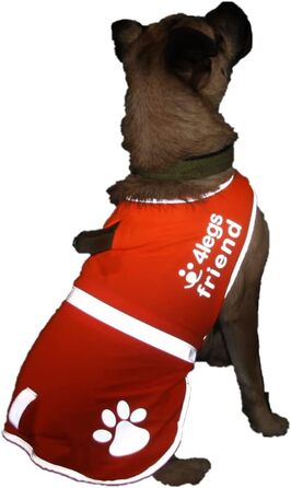 Світловідбиваючий жилет для собак з отвором для повідка, 5 розмірів - висока видимість удень та вночі, безпека на дорозі та під час полювання (Оранжевий, XL)