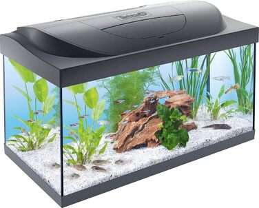 Акваріум Tetra Starter Line 54 л комплект: LED підсвітка день/ніч, внутрішній фільтр, обігрівач, корм для риб та кондиціонер для води