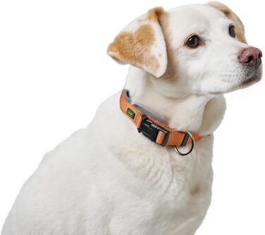 Нашийник для собак HUNTER Neopren Vario Plus, нейлон, неопрен, регульований, з поглинанням ривка, комфортний, розмір L/2,5, колір: мідний/сірий