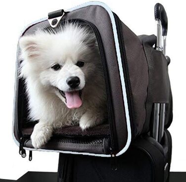 ABISTAB Транспортна переноска для собак і котів, розкладний бокс для авто та авіаперельотів, Maxi 72см, з двостороннім відкриванням та довгим плечовим ременем