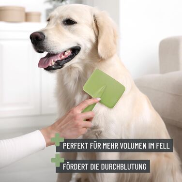 Щітка для собак та котів ReaVET: видаляє підшерсток, ковтуни та розплутує шерсть. Великі породи. (L)