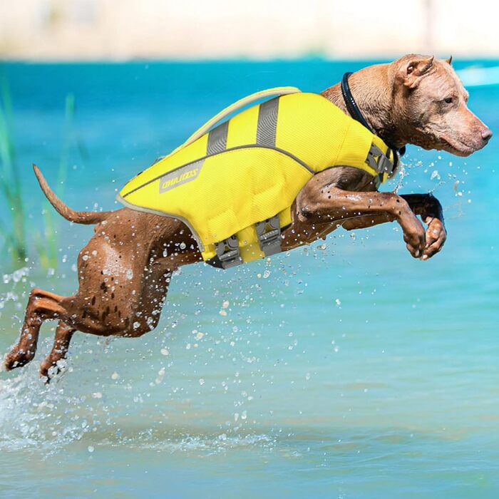 Жилет для плавання собаки ZOOLAND, великий, зелений. Регульований, довговічний, з світловідбиваючими елементами для собак маленьких, середніх та великих порід