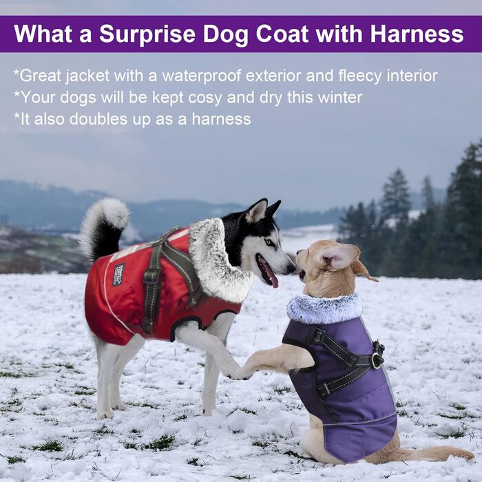 Водонепроникний теплий одяг для собак - зимова куртка з отвором для шлейки, для чихуахуа, французького бульдога, собак маленьких та середніх порід (11, 3)