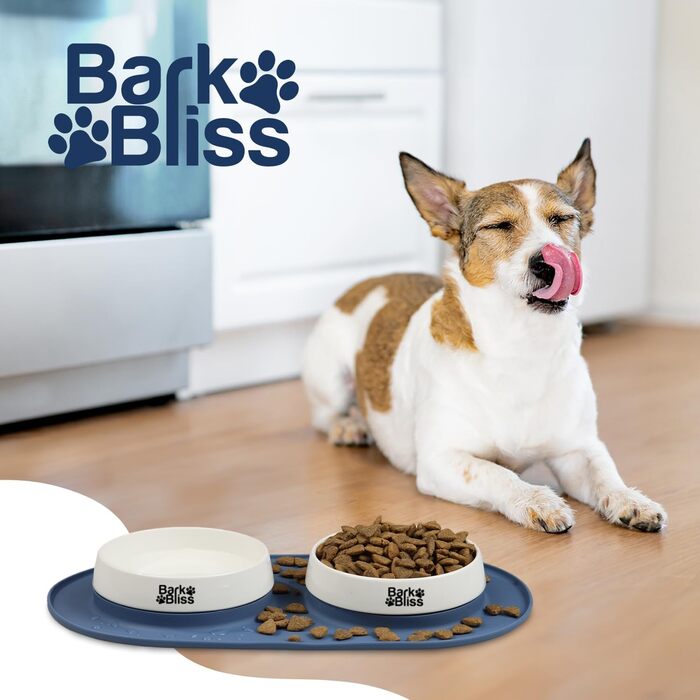 Керамічні миски для собак BarkBliss з нековзною силіконовою підставкою, набір для води та корму для малих, середніх і великих порід, міцні та зручні