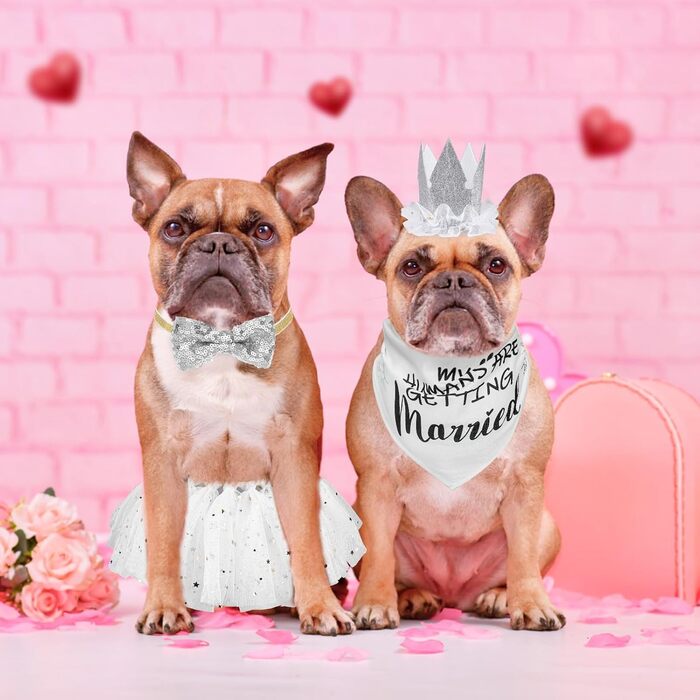 Сукня для собак SCENEREAL на весілля з банданою, комірцем-бантиком та короною, комплект для собак, дівчаток, цуценят, кошенят, аксесуари для вечірки, спідниця-тьюль, костюм для маленьких, середніх та великих собак, білий (Весільний)