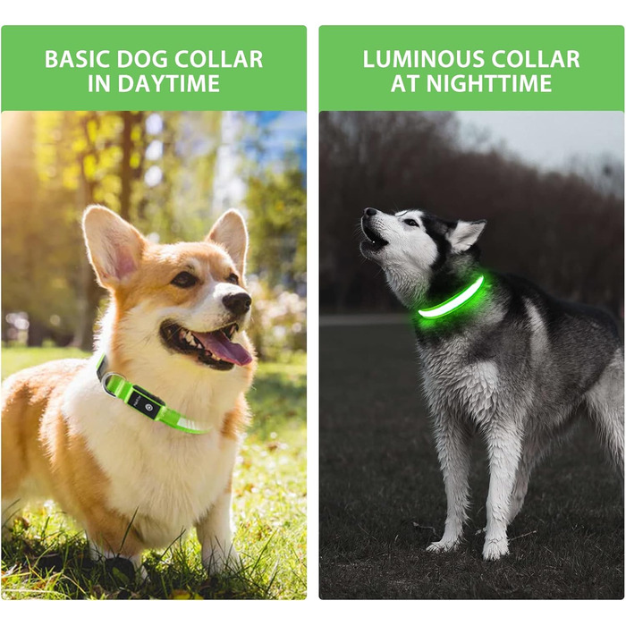 Світлодіодне нашийник для собак Leuchthalsband, водонепроникний, 7 кольорів, регульований, для маленьких та великих собак, 8 режимів, зелений, розмір M (38-50 см)