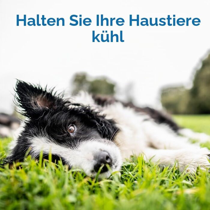 Охолоджувальний килимок для собак та котів TheGreenPetShop XL, самоактивуючий гель-мат для великих домашніх тварин (до 36 кг), шавлія/сірий