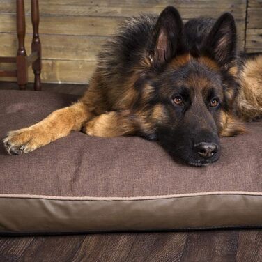 Лежак для собак Scruffs Hilton Memory Foam шоколадний, 100x70x6 см, середній розмір, ортопедичний матрац