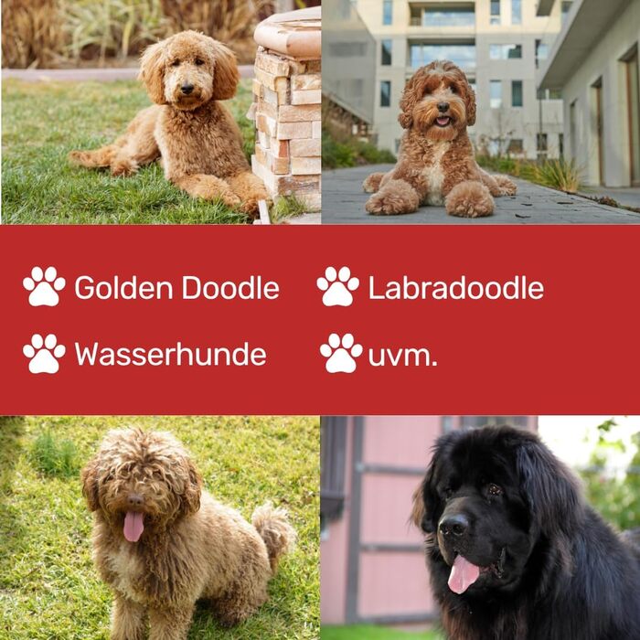 Професійна шерсть для собак EHASO Revolution Two Step | Ліва рука | 21 см | 28 зубців | Шерсть для грумінгу з Solingen