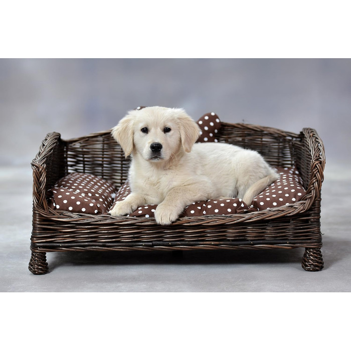 Корзина для собак та котів з плетіння лози з м'яким лежаком, коричнева (74x52x39 см)