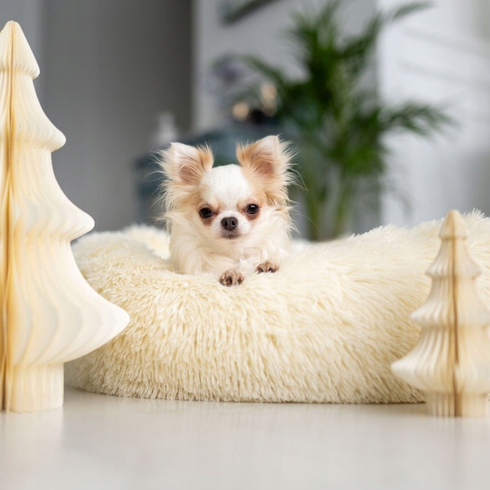 М'яке лежак-ліжечко для собак Legowiska, бежевий, 50 x 50 см