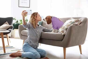 Теплий в'язаний пуловер для собак з коміром-горловиною, однотонний, для цуценят та собак середніх розмірів (зелений, розмір S/M).