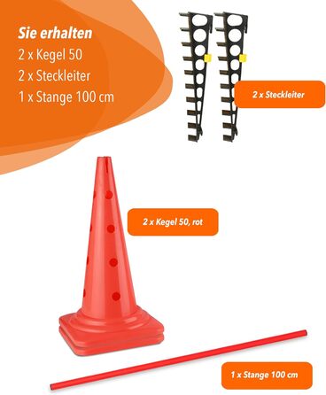 Кільцеподібна перешкода Sportikel24 для аджиліті з жердиною 100 см – для собак, коней та дітей