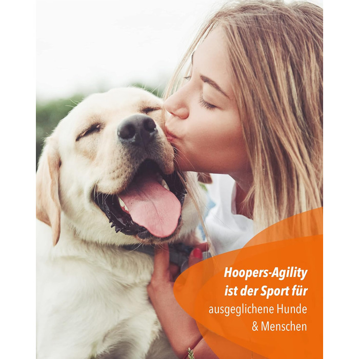 SPORTIKEL24 Superhund Hoopers Hoop – іграшка для аджиліті собак, кільця для хоперс, пластик, блакитна основа з кольоровими арками, VDH-сертифікована, гнучка, стійка до погодних умов (блакитний/жовтий)