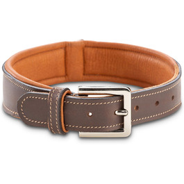 Нашийник для собак Джек Рассел з натуральної шкіри Amy - м'який, надійний, двошаровий нашийник для собак маленьких, середніх та великих порід (XS, Коричневий) XS (26.0-34.0 см)