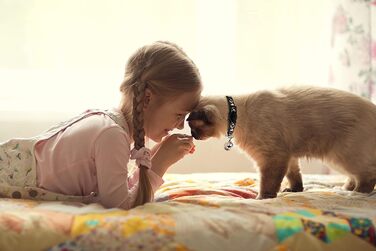 Нашийники для котів зі дзвіночком, світяться в темряві, регульовані, 20-33 см, 2 шт. (7.9-13.0 дюймів, помаранчевий/чорний)