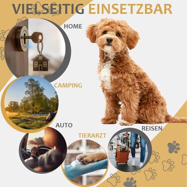 Складана переносна сумка-переноска для собак та котів Petigi (S, 50 x 35 x 36 см, блакитна)