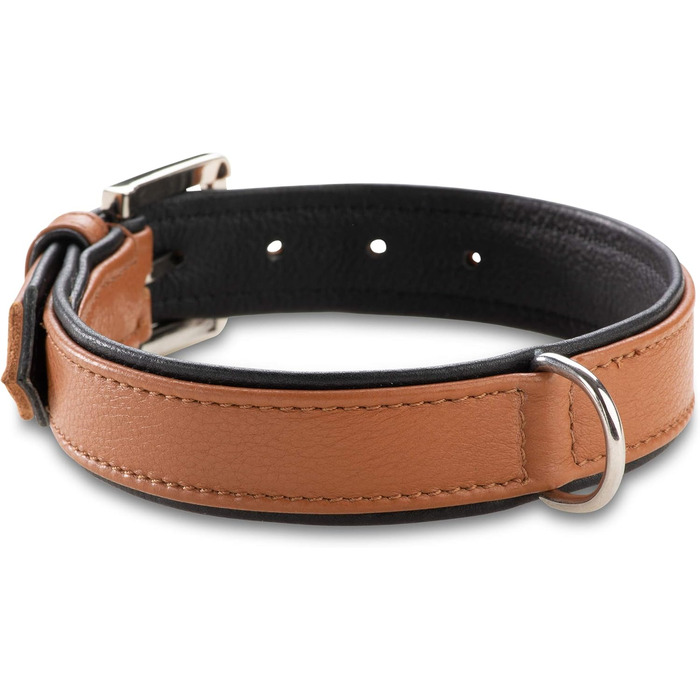 Преміум шкіряний нашийник для собак Jack Russell Lilly - нашийник з натуральної шкіри телятини, нашийник для собак, шкіряний (XXL, Коричневий/Чорний) XXL - обхват шиї 49,0-60,5 см Коричневий/Чорний