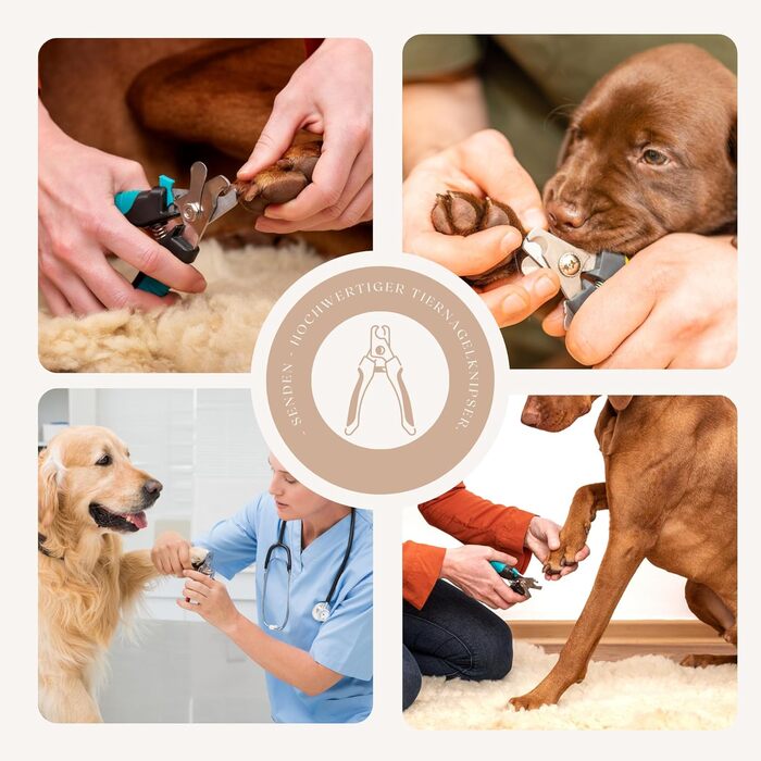 Тример для обрізання кігтів собак, котів та інших домашніх тварин | З пилочкою, лезами з нержавіючої сталі, захистом та чохлом – великий | Для догляду за лапами та кігтями