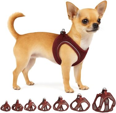 Шлейка для собак середнього розміру Flamingo Step&Go Bento (фіолетовий, XXS)