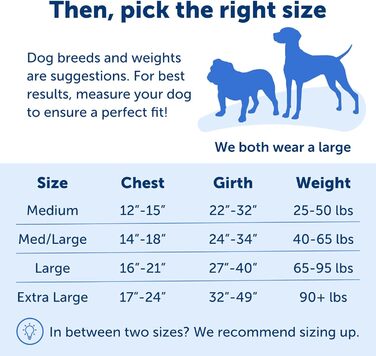 Шлея для собак PetSafe Easy Walk, анти-тяг, регульована