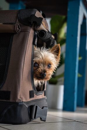 Складаний легкий бокс для собак TrendPet TPX50-Pro з алюмінієвим каркасом
