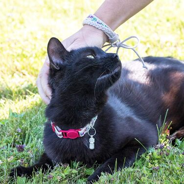 Pettsie нашийник для котів з безпечним замком, ідентифікатором, браслетом для власника, регульований, міцна бавовна, D-кільце, 12,7-20,3 см
