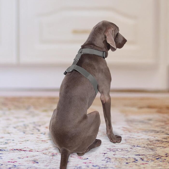 Шлейка для собак FeimaX великих порід, тактична, не тягне, дихаюча, комфортна (XL, сіра)